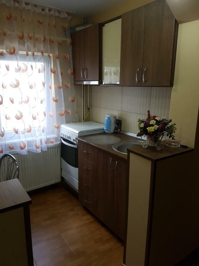Near Center Apartment Petrosani Exterior photo